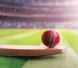 State-of-the-art cricket academy in the pipeline