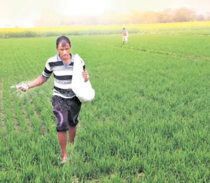 PI Industries stock falls on weak Q1, export outlook