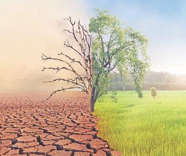 CO₂ levels hit record high, WMO warns of more extreme weather