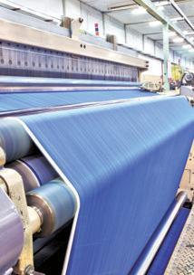 Special cells to help develop textile, electronic clusters