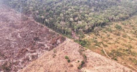 COP out? The world’s climate talks seem stuck in repeat
