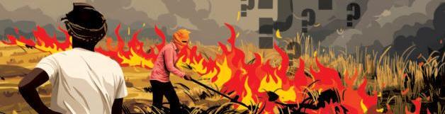 An end to stubble burning