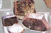 Foreign firms assure rare-earth oxide supply under PLI scheme