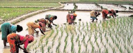 As NDA returns with a bang, farm promises to be keenly watched