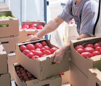 US tariff shift opens window for India’s farm exports
