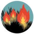 Satellites missing 90% of farm fires in Punjab, Haryana: Report