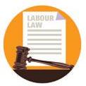 HC flags legal gap in labour Code rollout