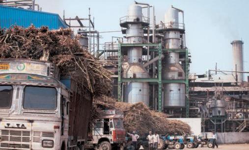State's sugar industry grows by leaps and bounds