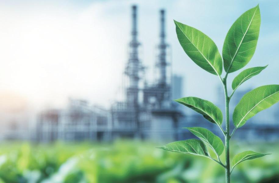 The climate finance puzzle