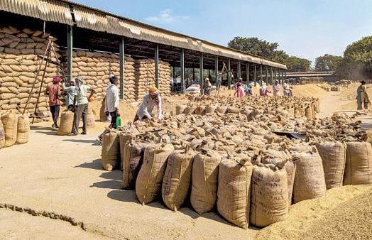 Rice mountains & rising political heat