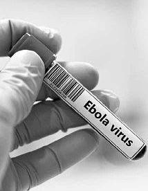 India-Africa summit put off on Ebola fears