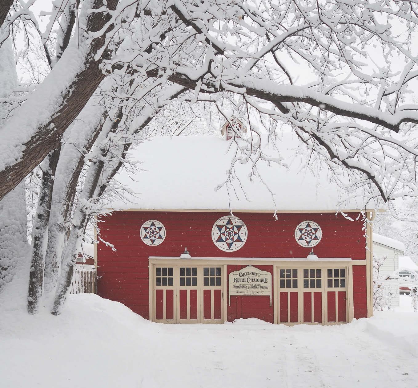 A Carriage House with Character