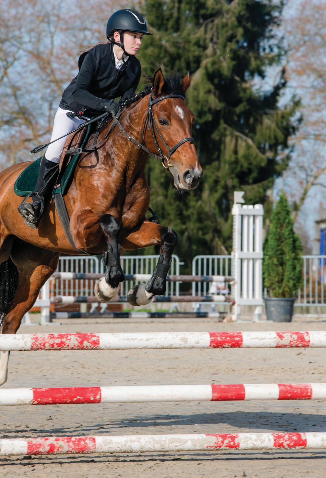 JUMPING JITTERS