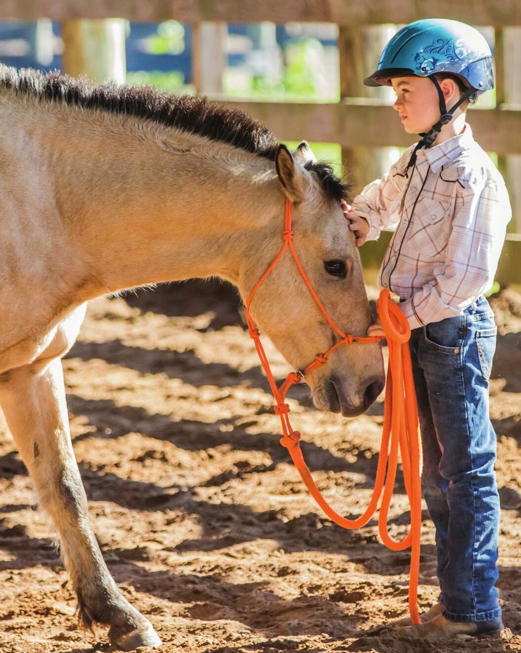 Ready for Rope Halters