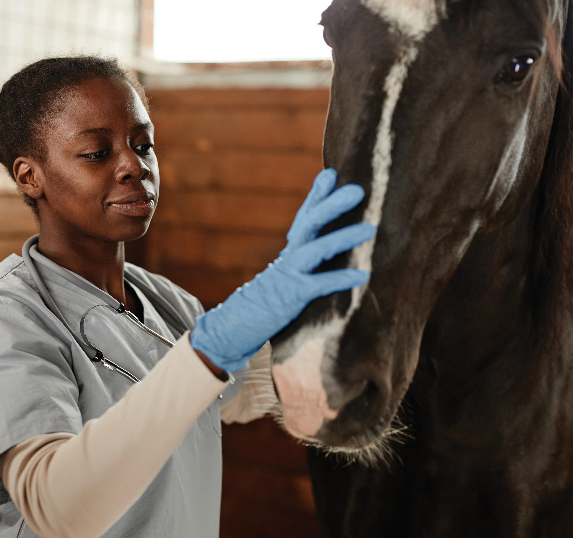 GET ON THE VET TRACK