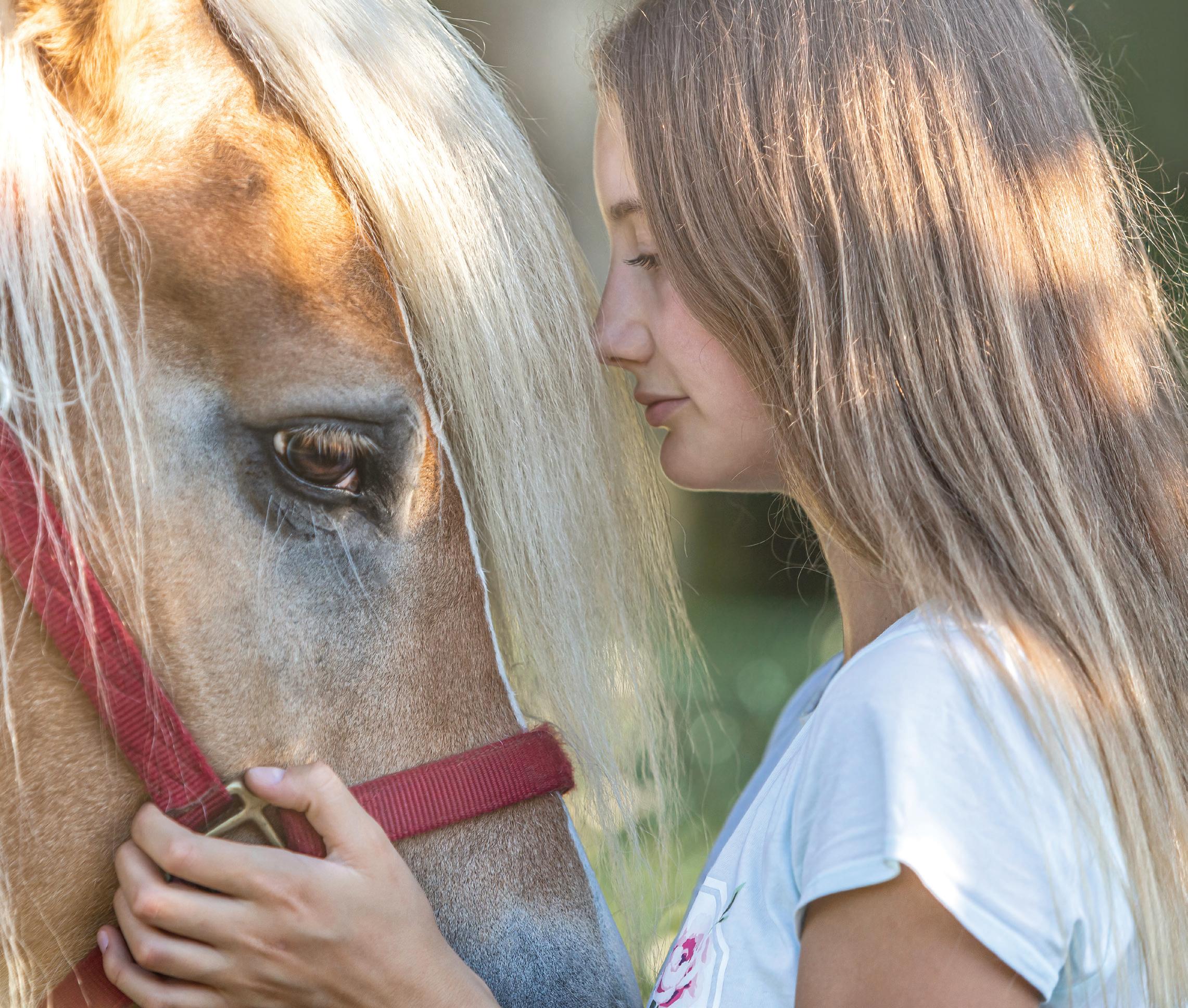 Bonding With Your Horse