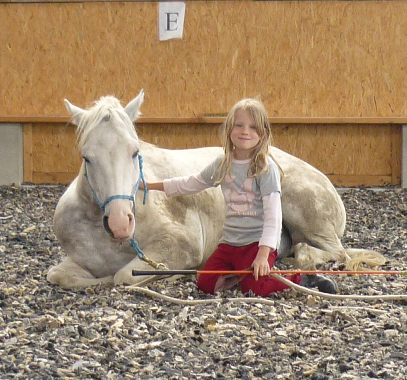 Do Horses Talk?
