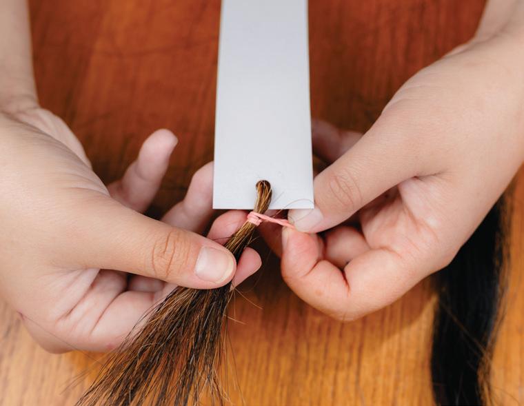 Horsehair Bookmarks