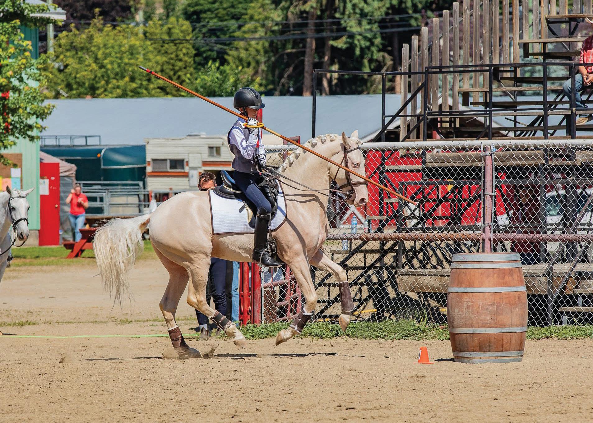 Working Equitation