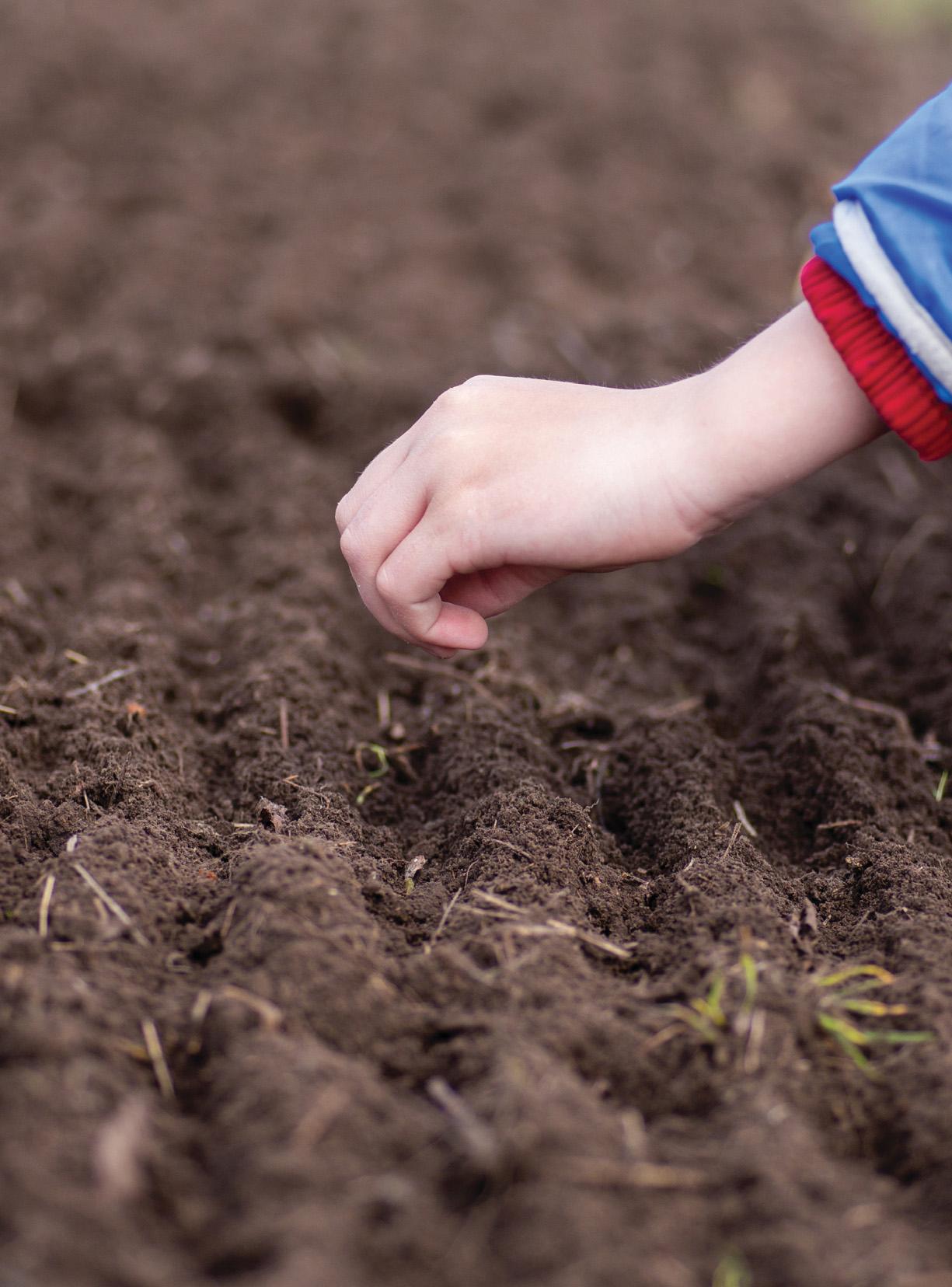 Seed-Starting Soil Temps