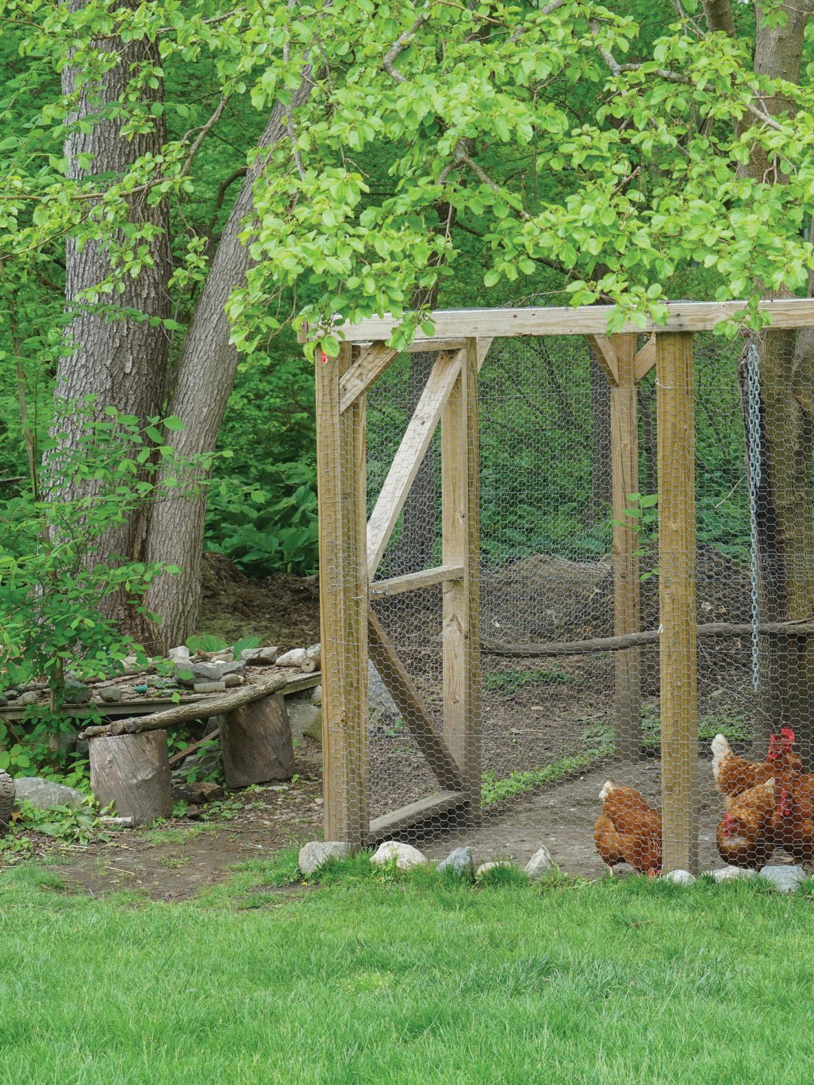 20 COOP CONSIDERATIONS