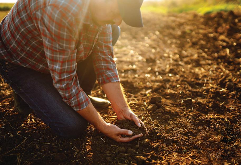 Soil Testing