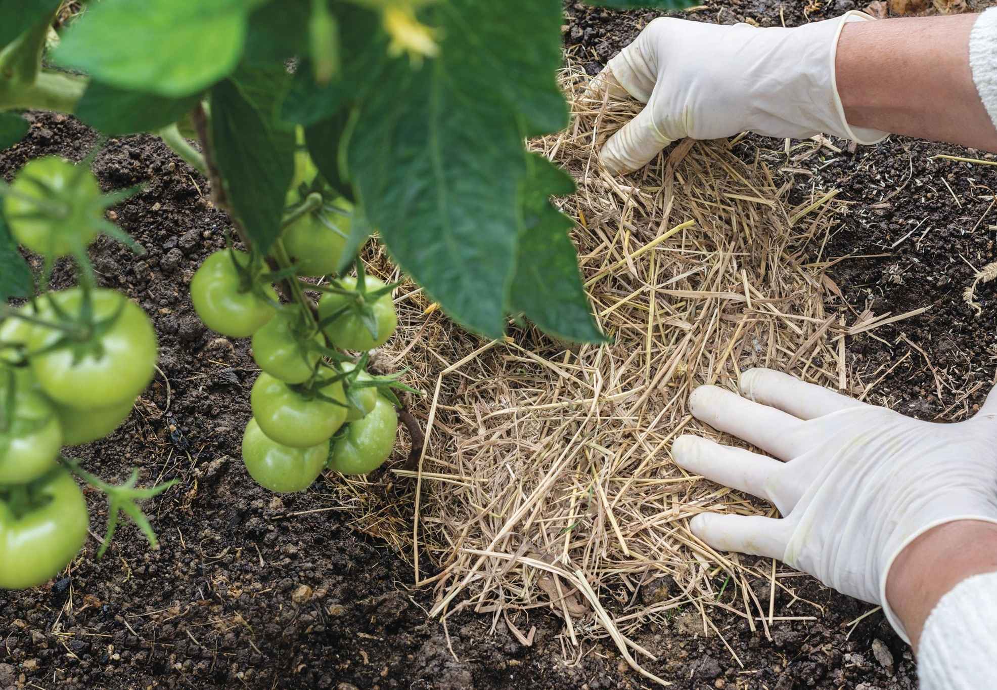 Much Ado about MULCHING