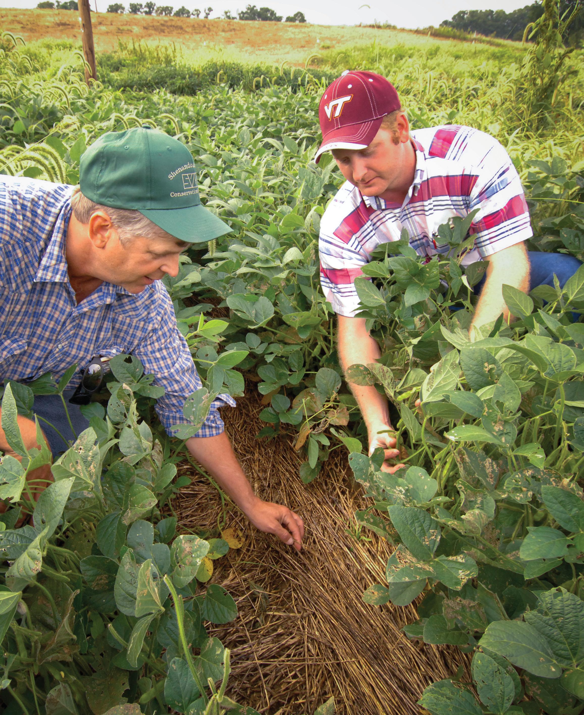 NO - TILL Fall TIPS