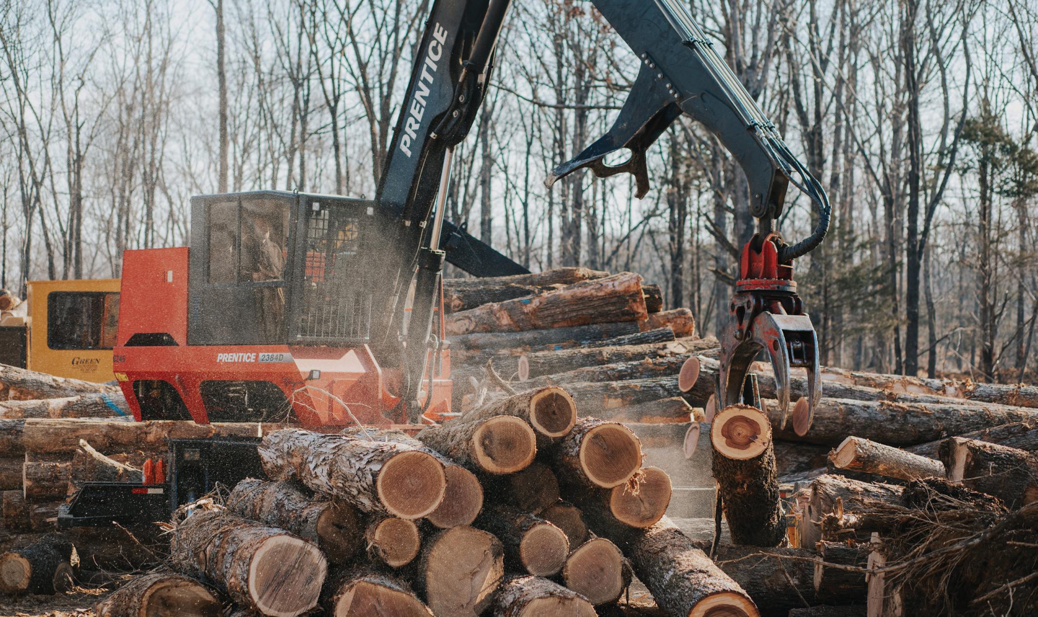 Woodlot Management