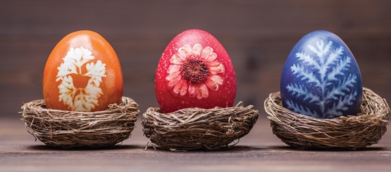 Dying Eggs