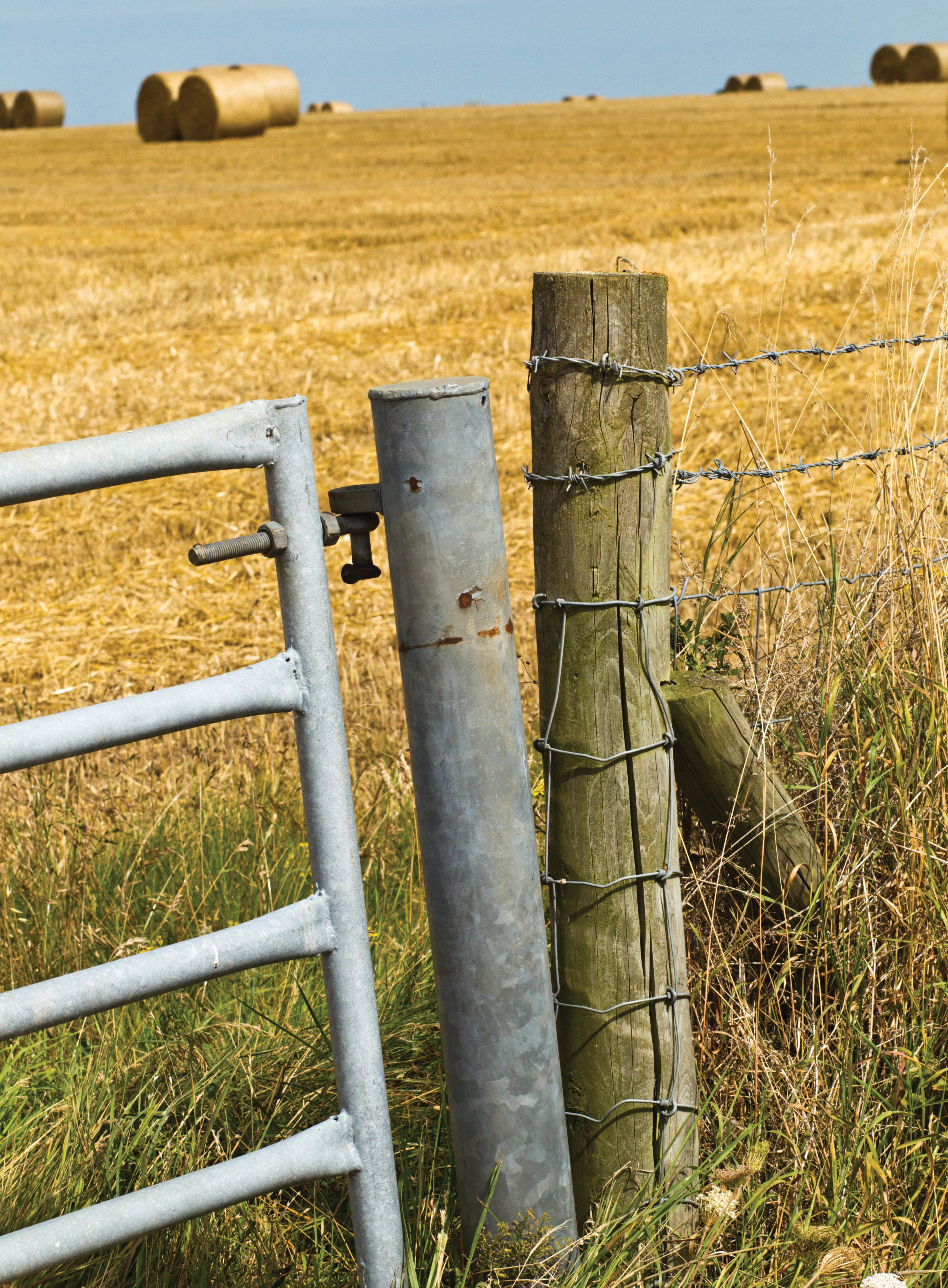 FENCE & GATE REPAIR