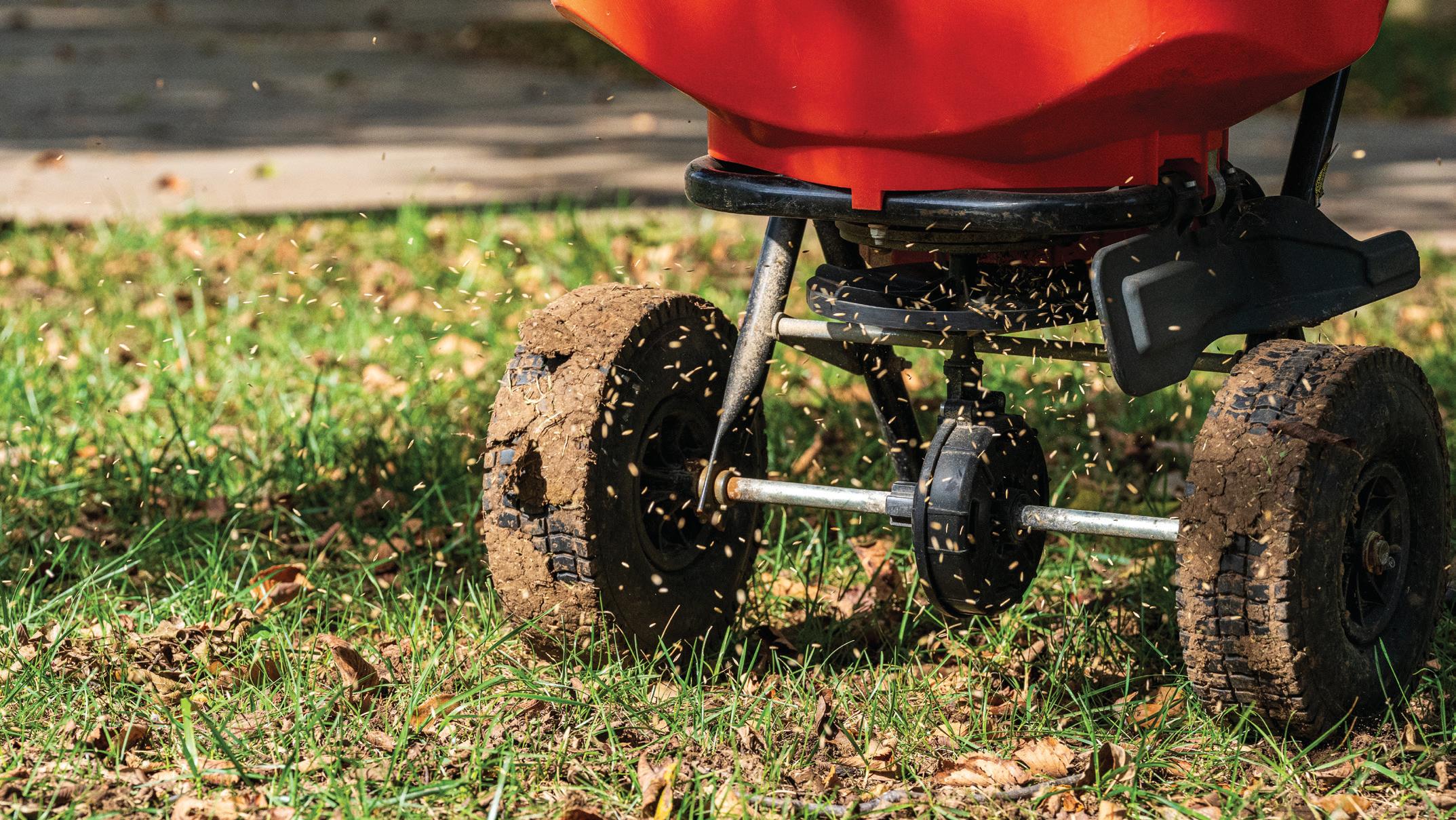 Weed Management