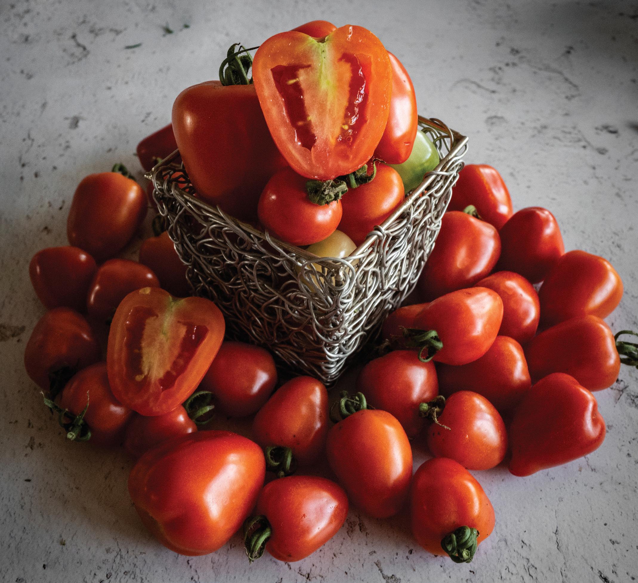 Cherry Tomato Rainbow