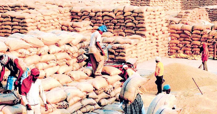 धीमी रफ्तार से हो रही धान की खरीद