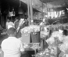 कागजी बनकर रह गई दिल्ली में गाजीपुर की नई फूल मंडी