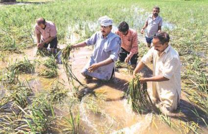 खूब बरसा मॉनसून मगर बाढ़ से भारी नुकसान