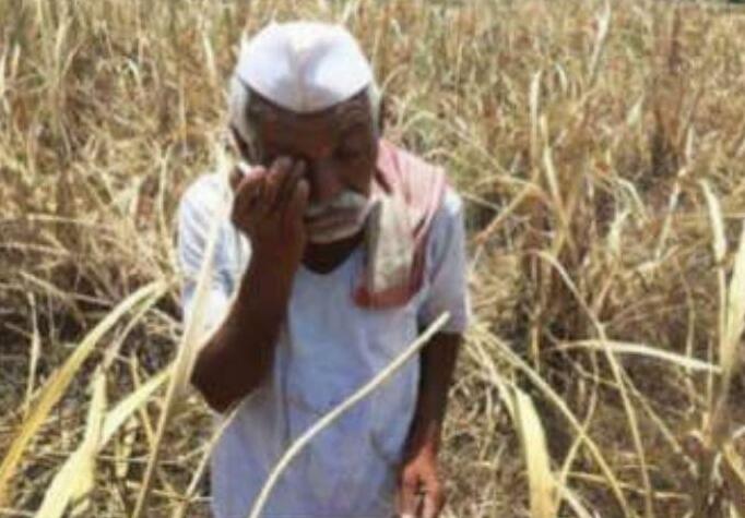 Gadag farmer attempts suicide over crop compensation delay