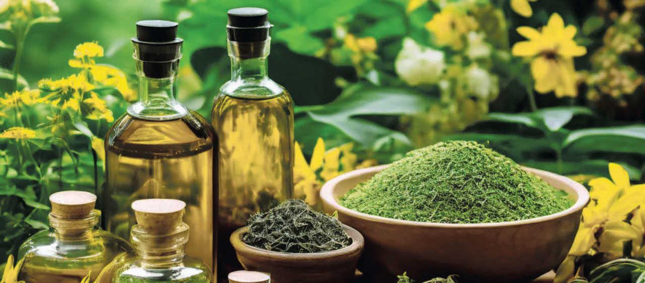 പാരമ്പര്യം കൈവിടാതെ ജൈവ ഉൽപന്നങ്ങളൊരുക്കാം