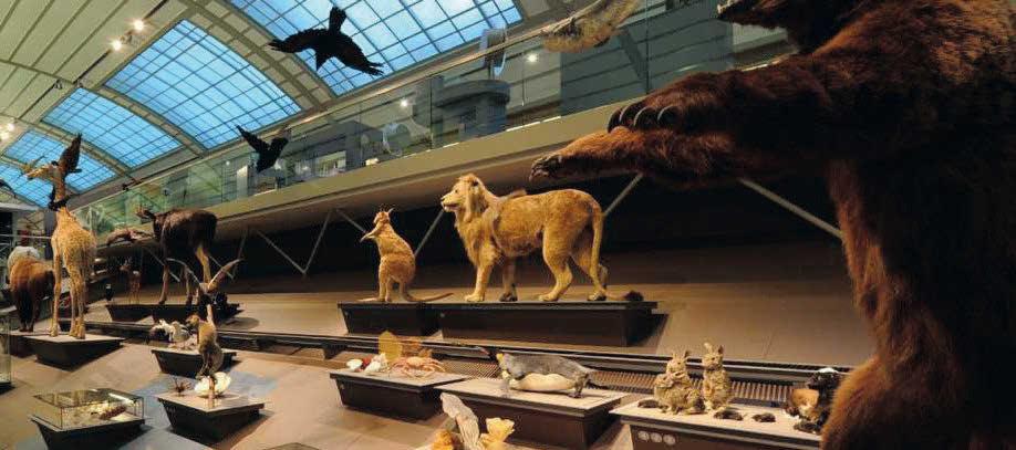 ആർക്കൈവ്സും മ്യൂസിയോളജിയും