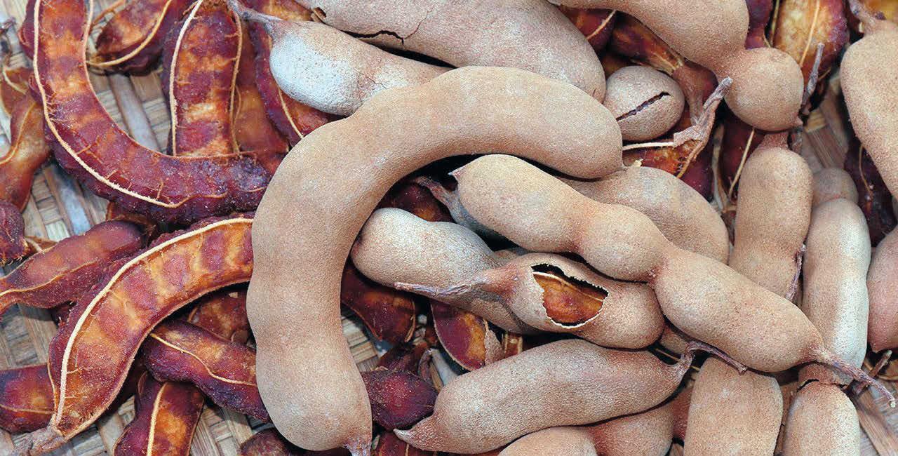 പുളി തരും, ആദായമധുരം