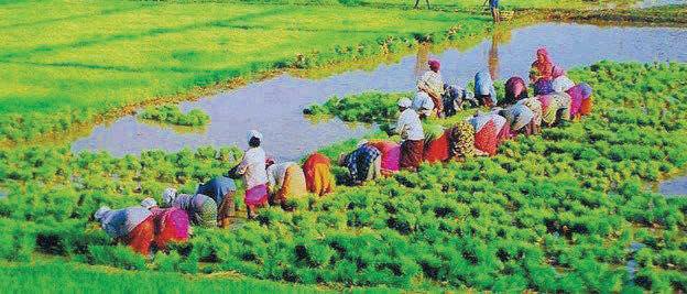 കാർഷിക സംരംഭങ്ങൾക്ക് 2 കോടി രൂപ വായ്പ