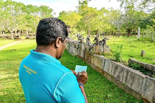 Lanka begins wildlife survey on crop damage