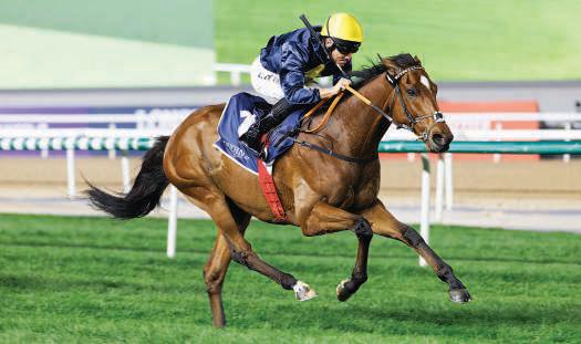 Max Mayhem gives Kobeissi first overseas win at Meydan Racecourse
