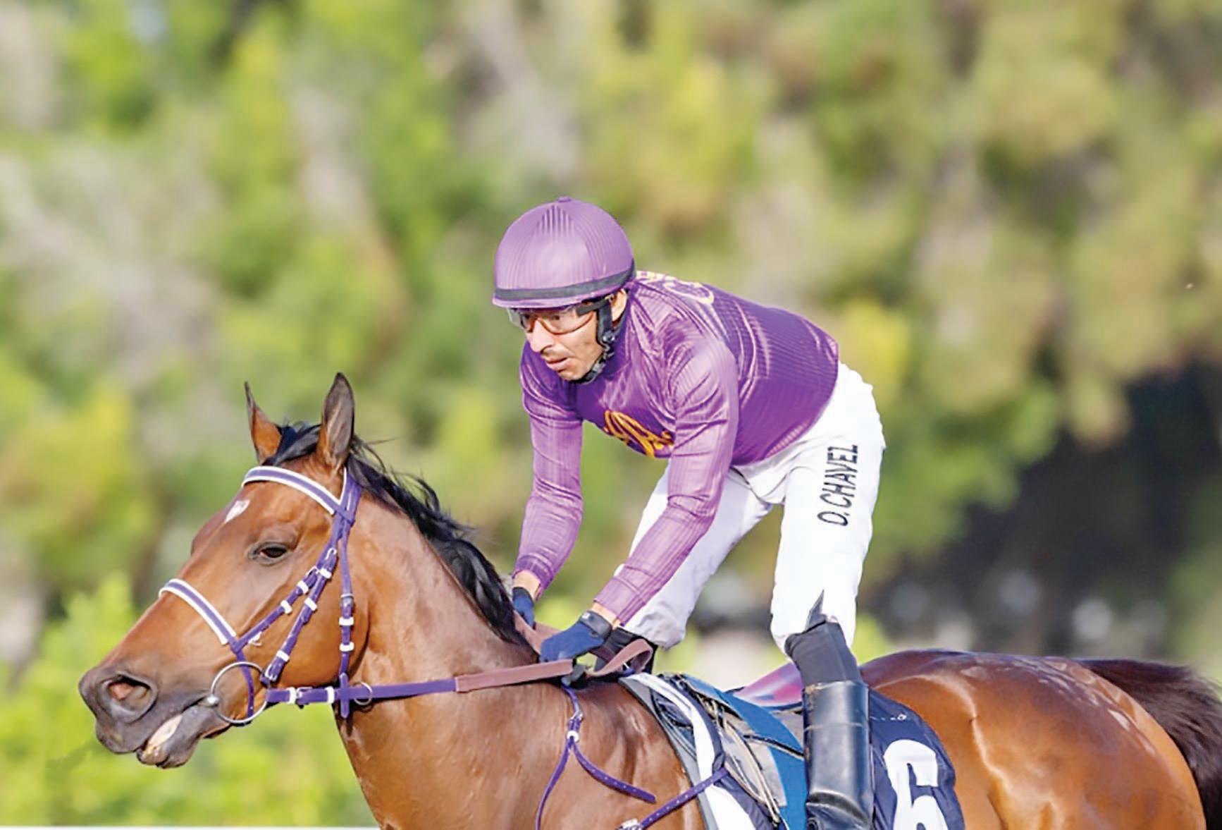 Jebel Ali Racecourse set for spectacular finish to season with high-stakes finale