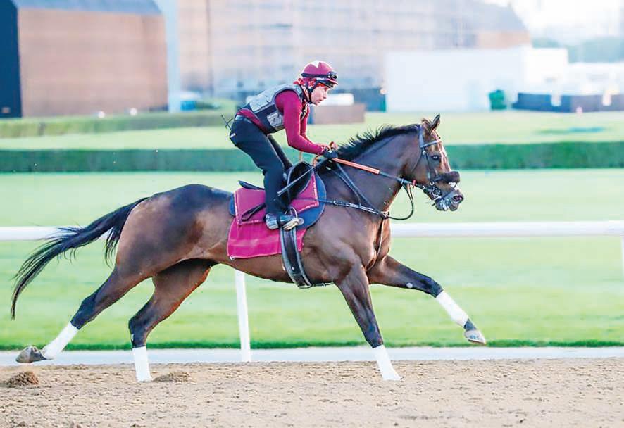 Tuz, Mixto carry Dubai World Cup night hopes for Calumet Farm