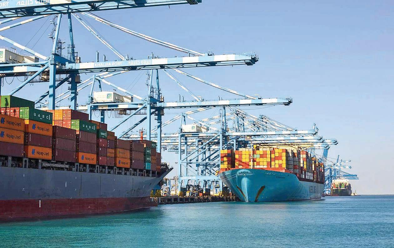 AD Ports Group registers record Dhs17.29b in revenue for 2024