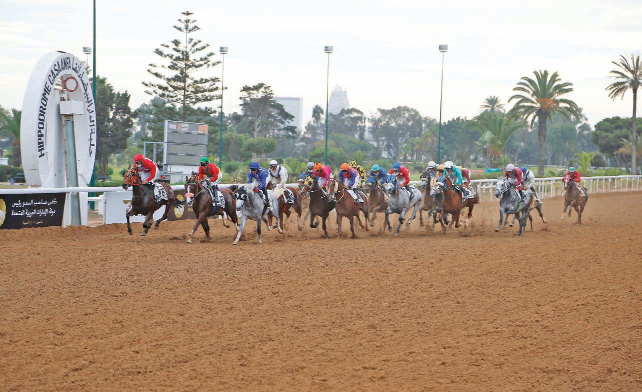 Morocco to host 2nd leg of UAE President's Cup Series for Purebred Arabian Horses
