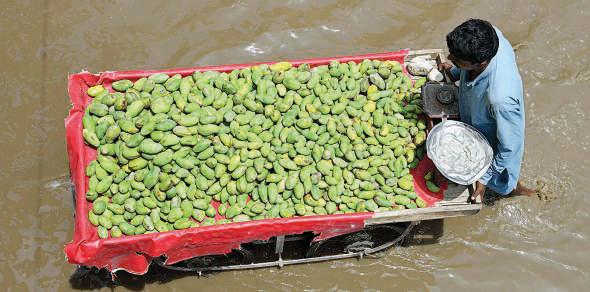 Pakistan cuts key policy rate to 11%