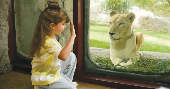 Dubai Safari Park launches contest