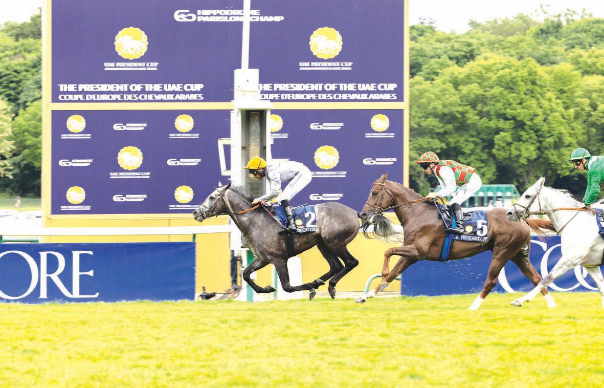 Luwsail lands glory as UAE President's Cup makes historic European debut